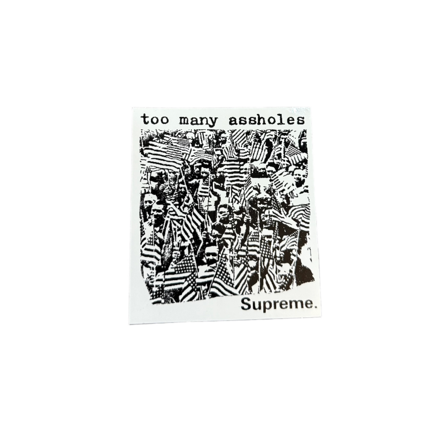 Supreme Too Many Assholes Sticker SS22