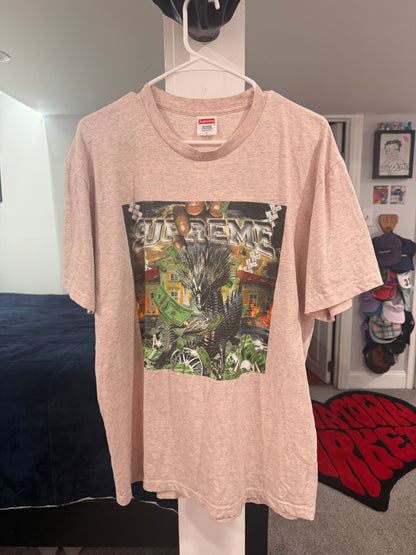 Supreme Dragon Pink T-Shirt (Worn Size Large)