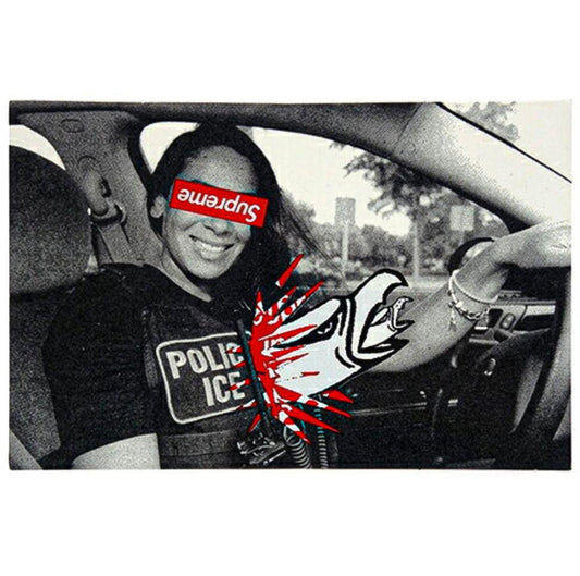 Supreme ANTIHERO Ice Sticker FW20