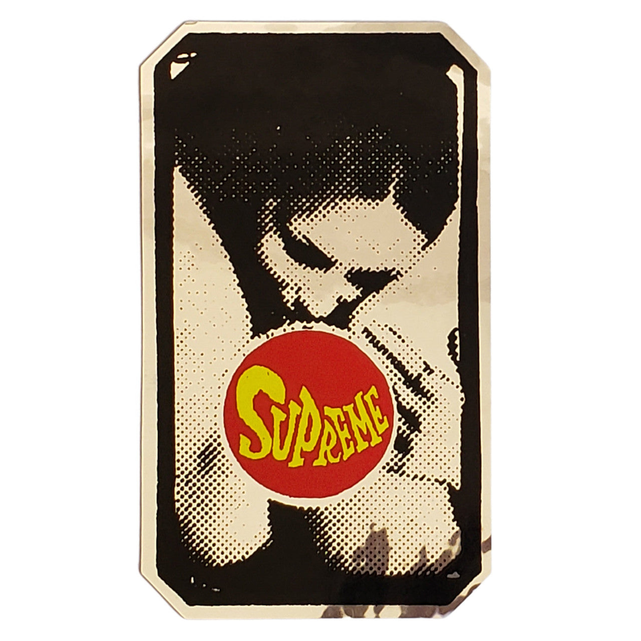 Supreme Adults Only Sticker Silver FW10