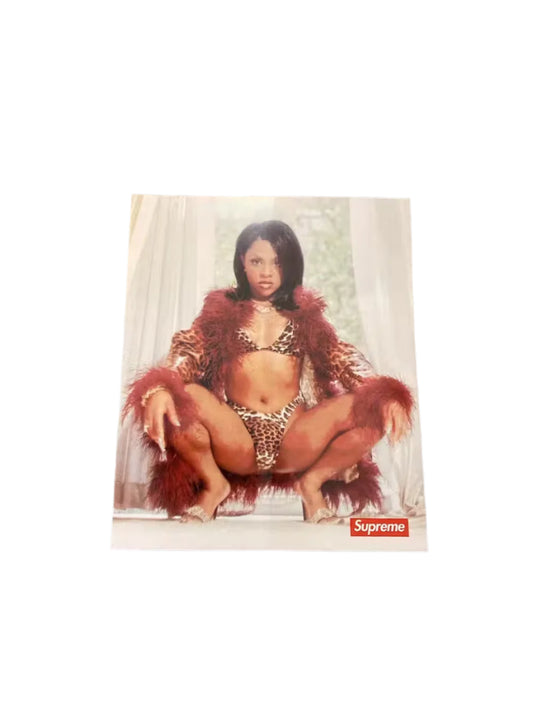 Supreme Lil Kim Sticker SS22